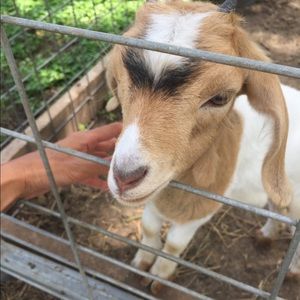 Meet your Posher, Fusayo